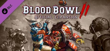 Купить Blood Bowl II - Official Expansion