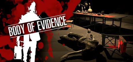 Купить Body of Evidence