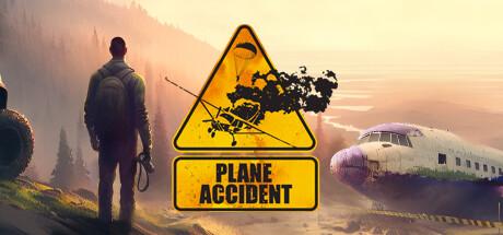 Купить Plane Accident
