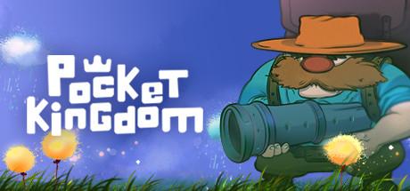 Купить Pocket Kingdom