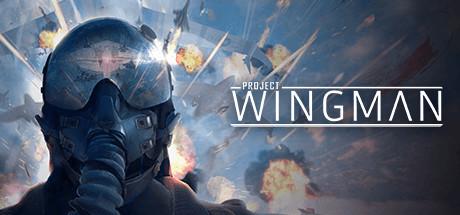 Купить Project Wingman