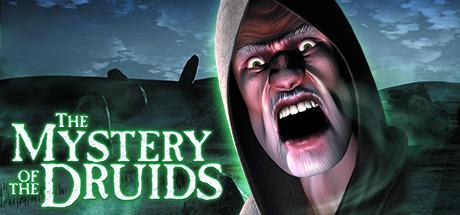 Купить The Mystery of the Druids