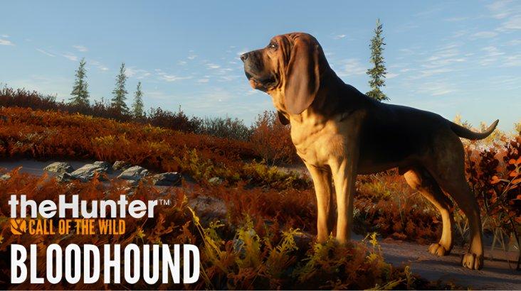Купить theHunter: Call of the Wild™ - Bloodhound